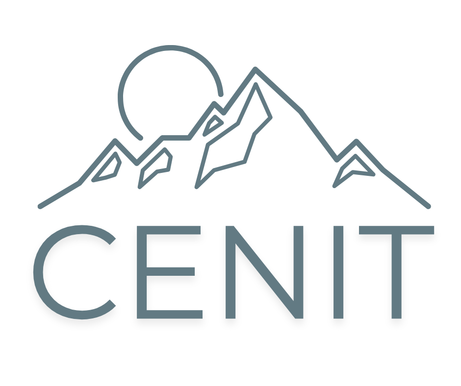 Cenit Logo Footer