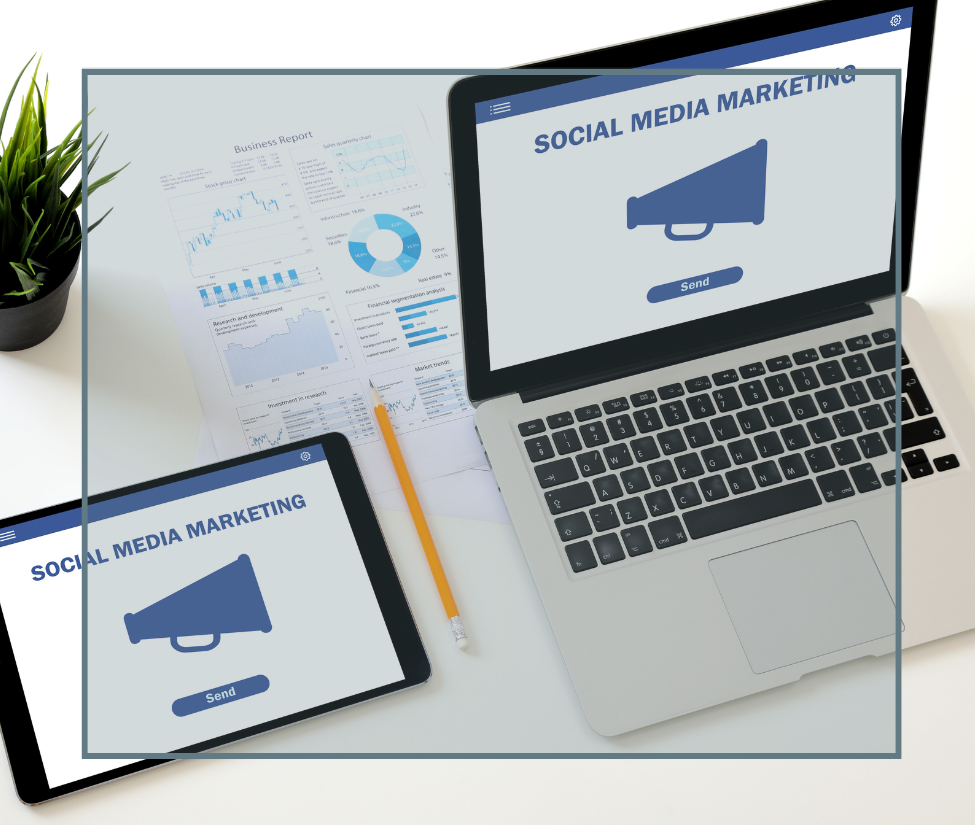 cenitweb - web design