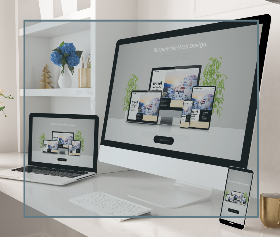cenitweb - web design